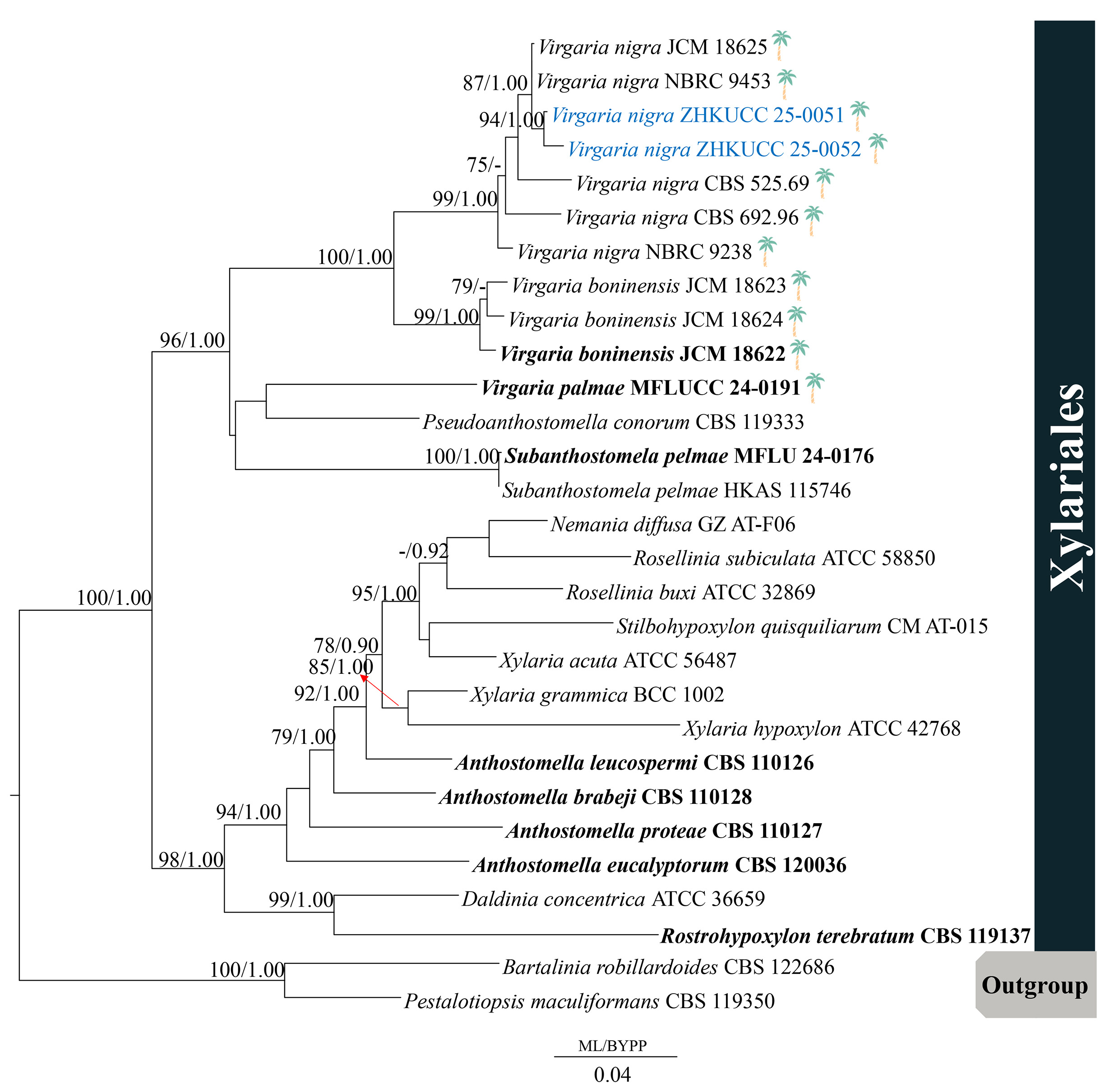 Figure 125